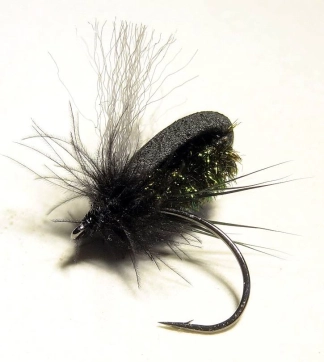 Peacock Narova Peacock Narova