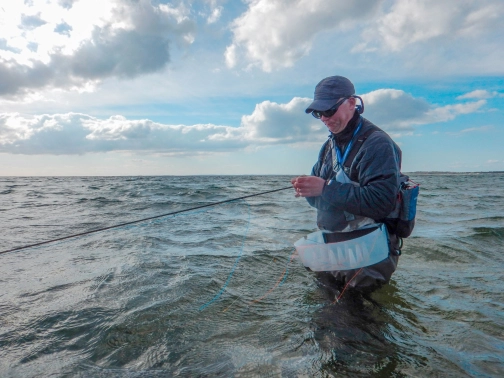 A lot of fishing A lot of fishing