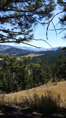 Yellowstone Park view Yellowstone Park view