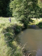 A grand cast A grand cast