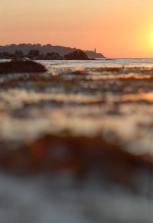 Waterscape Waterscape