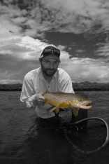 Selective color brown trout Selective color brown trout