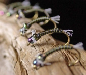 Nymphs up close Nymphs up close