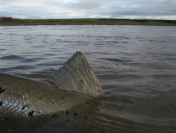 Ready to go Ready to go