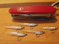 Small, bright baitfish Small, bright baitfish