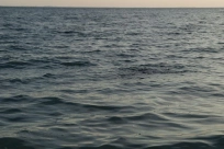 Nervous water Nervous water