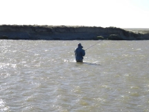 Fighting the wind Fighting the wind