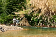 In the bushes In the bushes