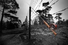 Rod resting Rod resting