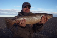 Coloured sea trout Coloured sea trout