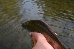 Ready to go back Ready to go back