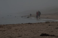 People walking People walking