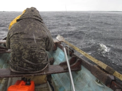 Dry fly weather! Dry fly weather!