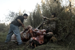 A f*cking big moose! A f*cking big moose!