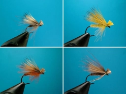 Color variations Color variations