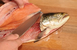 Lift the front Lift the front