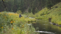 Casting on Rapid Creek Casting on Rapid Creek
