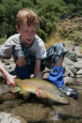 AJ's brown AJ's brown