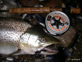 Black Marshmallow Black Marshmallow