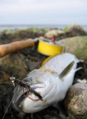 Right where it belongs Right where it belongs