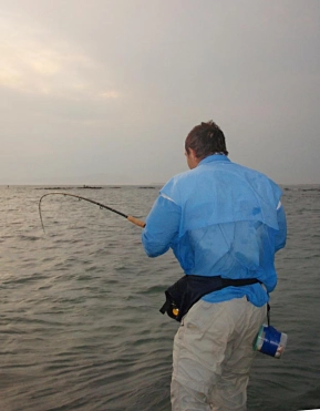 How much more can a shark pull How much more can a shark pull