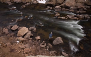 Cheese and baetis Cheese and baetis