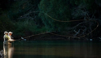 The arc of the line The arc of the line