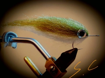 Italian saltwater fly Italian saltwater fly