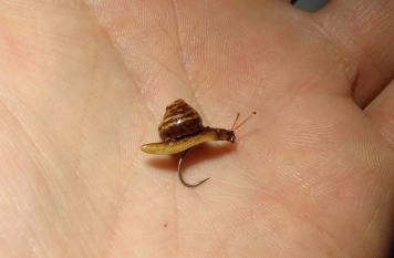 In the hand In the hand