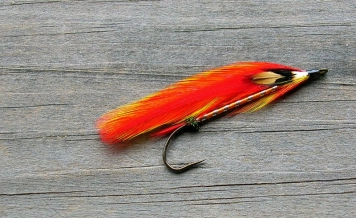 Knotfancee Knotfancee