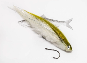 Light variant Light variant