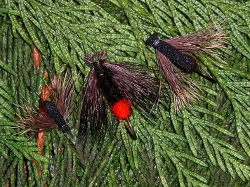 Varying sizes Varying sizes