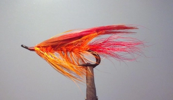 The smartphone picture The smartphone picture