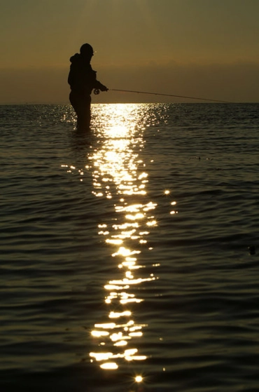 In the stripe In the stripe