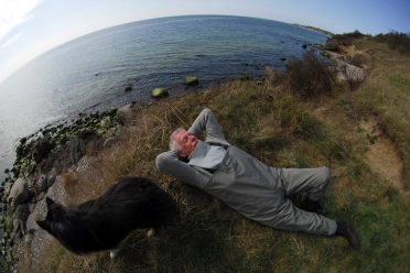 A nap with a view A nap with a view