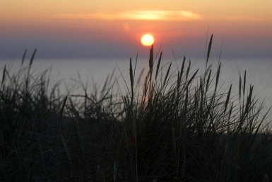 Foreground Foreground