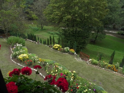 The garden The garden