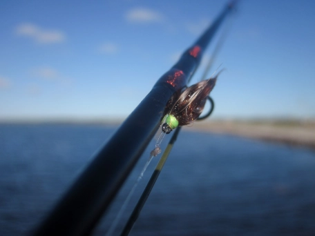 Green head Green head