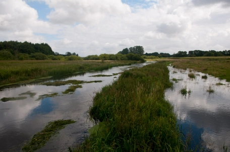 Danish stream Danish stream