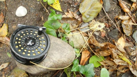 The Old Line The Old Line