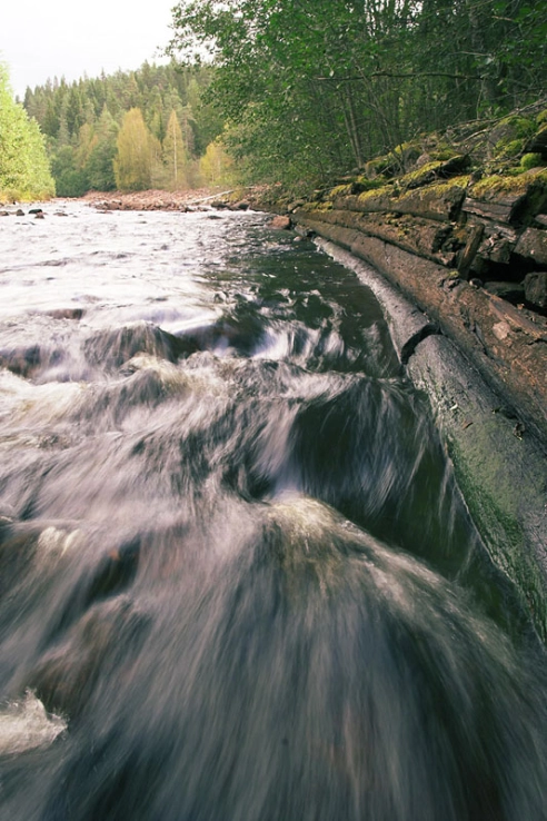 The stream, the current The stream, the current