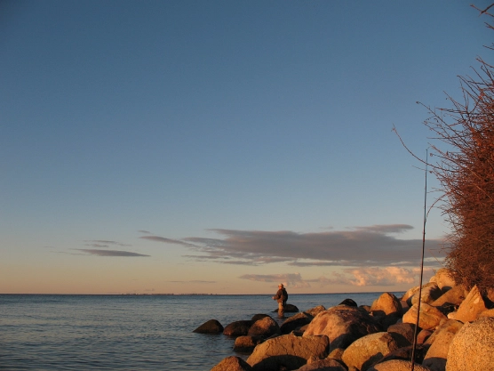 A dumb move - image A dumb move - image