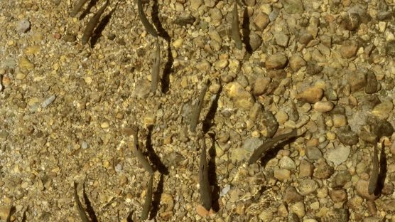 From the bridge in Siegsdorf From the bridge in Siegsdorf