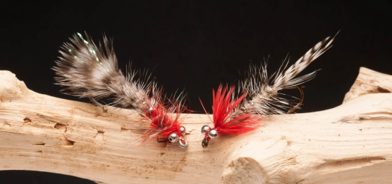 Red accents Red accents