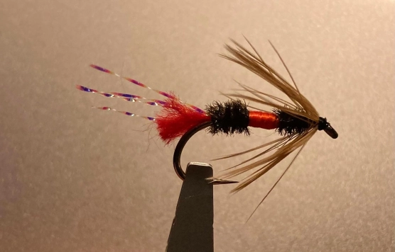 Coachman style Coachman style