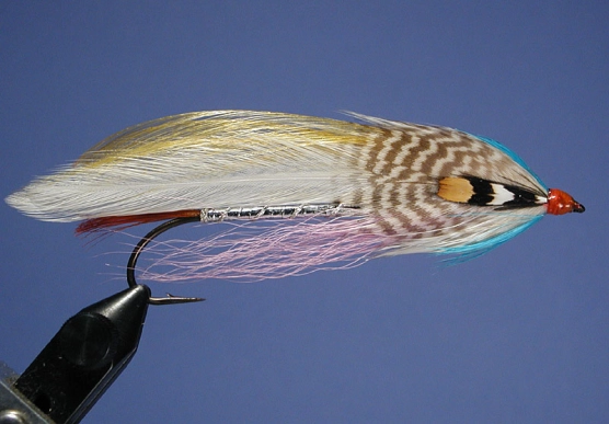 Rangely Promise Rangely Promise