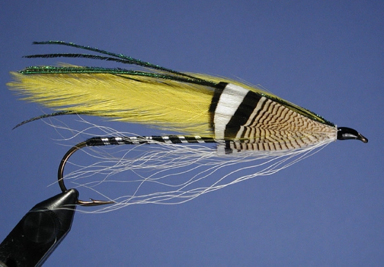 Yellow Ghost Yellow Ghost