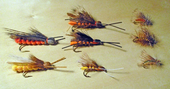 Stone collection Stone collection