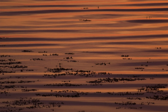 No sun, just light No sun, just light