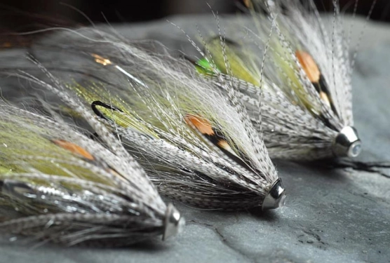 The Dirty White The Dirty White